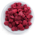 Fd Freeze Dried Fruit Berries Blueberry From China